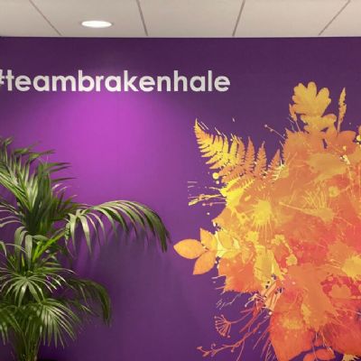 teambrakenhale-wall-art-1024x718